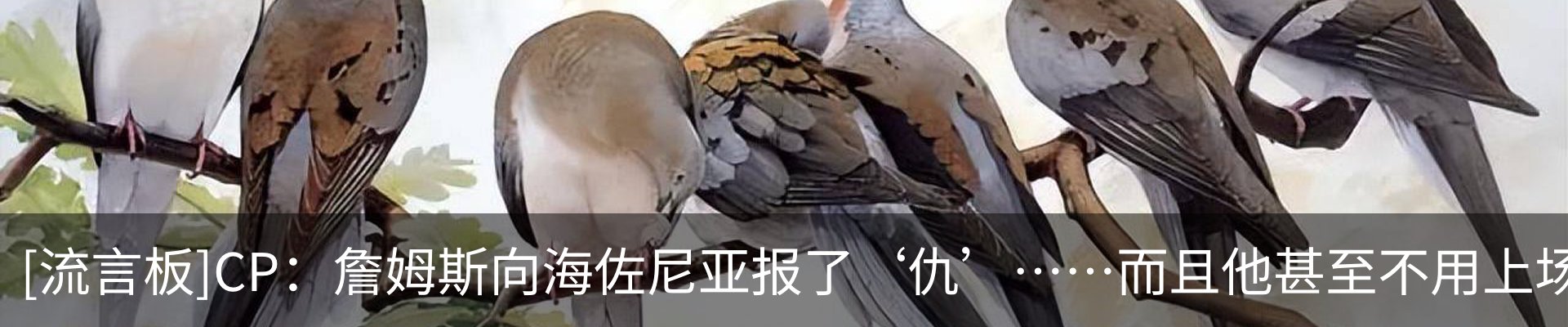新闻中心